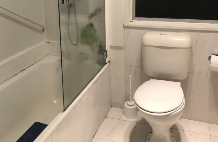 Bathroom Renovation Glenfield