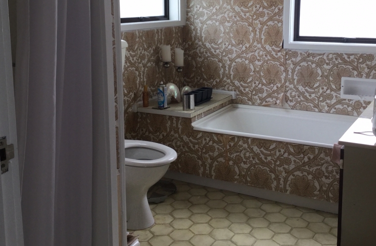 Bathroom Renovation New Lynn